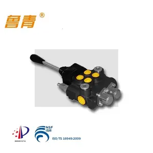China Leverancier Hoge Kwaliteit Anti Roestig P40 Hydraulische Controle Monoblock Spoel Klep Op Bouw Machines