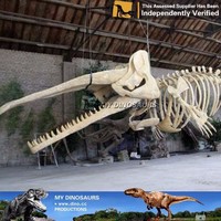 My Dino-estatua de Skulls de animales, estatua de esqueleto de ballena azul