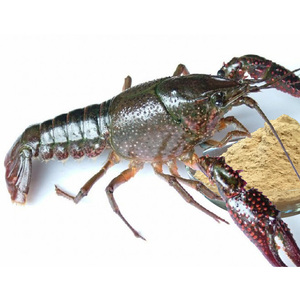 Mangeoire à base de crevette pour la culture de crevette, plantes naturelles, pour fabriquer la carpe harden, penaus vannwei, mantis de crevettes (multiplexes) - Product Image 1