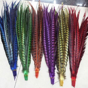 批发10-100件美丽的天然野鸡尾羽毛50-55厘米/20-22英寸可供选择 - Product Image 1