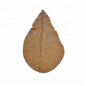 شواء الوسادة وتغليف المواد الغذائية تبخير فراغ حزمة المجففة هوبا يترك - Product Image 1