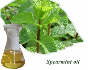 High quality 50-80% Min Essential Oil Spearmint Oil