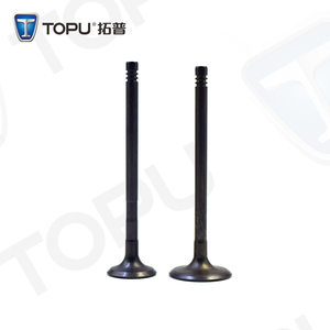 วาล์วเครื่องยนต์ OEM คุณภาพวาล์วเครื่องยนต์สําหรับ Toyota Focus 1.6 1320927 1S4G6507CA 1122364 1S6C6505BA ไอดีและไอเสียวาล์ว - Product Image 2