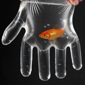 PE desechables para el hogar manipulación de alimentos guante de plástico guantes de mano de protección fabricantes en China - Product Image 2