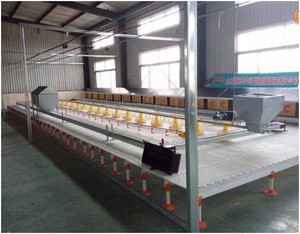 Sàn Gỗ Nhựa Cho Gia Cầm/Gà/Vịt/Ngỗng Có Lỗ Lớn: 2.2*2Cm (Dài: 0.5 M * Rộng: 0.5 M * Dày: 0.04M)-Loại 0025 - Product Image 6