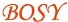 Dongguan Bosy Mats Industry Co., Ltd. logo