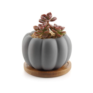 Maceta de cerámica <span class=keywords><strong>con</strong></span> bandeja de bambú para <span class=keywords><strong>suculentas</strong></span>, diseño de calabaza moderno - Product Image 2