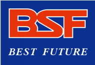 Qingdao Best Future Electric Co., Ltd. logo