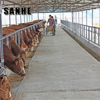 Conception économique de bâtiment en poutres en H pour étable à vaches, bâtiment agricole pour l'Éthiopie