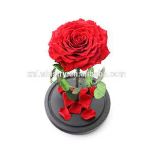 Valentine Forever Eternal Rose Flower Boda y Navidad Decoración del hogar con rosas preservadas Vidrio y tallo - Product Image 4