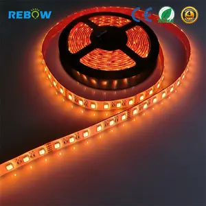 للماء مرنة 12V 24V SMD5050 أدى شريط rgbw 60leds/M لفي الهواء الطلق