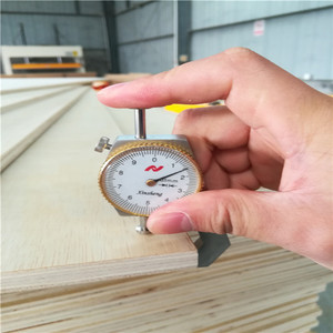 <span class=keywords><strong>Compensato</strong></span> <span class=keywords><strong>di</strong></span> Betulla e <span class=keywords><strong>Pioppo</strong></span> Linyi 14mm BB - Product Image 3