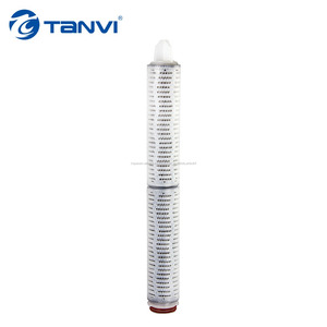 Micron hidrofílico PVDF Membrana microporosa filtro cartucho - Product Image 2