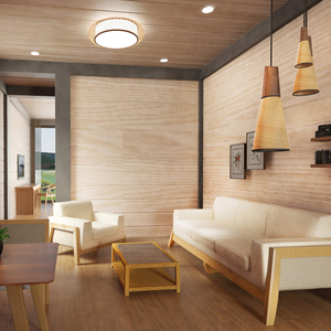 Conteneur de luxe prédécoupé pour salon, prix de maison - Product Image 4