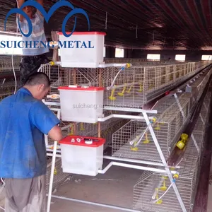 2018 Guangzhou Fabriek Kip Vleeskuikens Kooien Voor Kenia Gevogelte Boerderij/Kenia Vleeskuikens Kip Kooien
