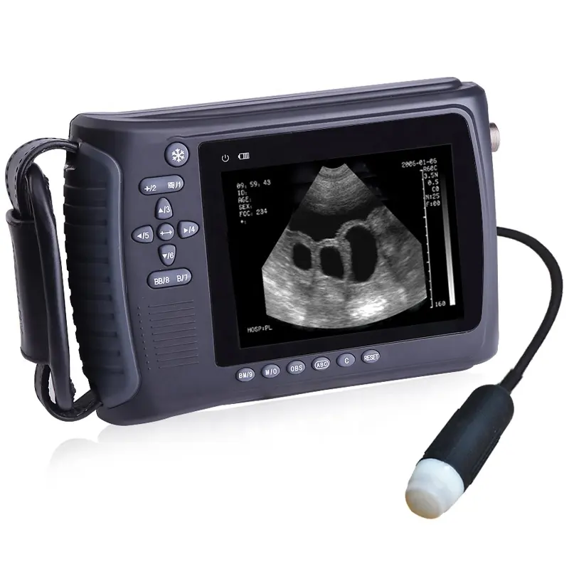 HP-2018V Farm uso Veterinario Full Digital handheld Ultrasound Scanner /Vet ultrasuoni per Suina, canine