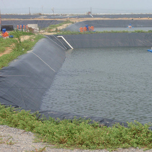 Bâche de <span class=keywords><strong>bassin</strong></span> en géomembrane HDPE pour pisciculture et crevetticulture industrielle moderne à vendre - Product Image 1