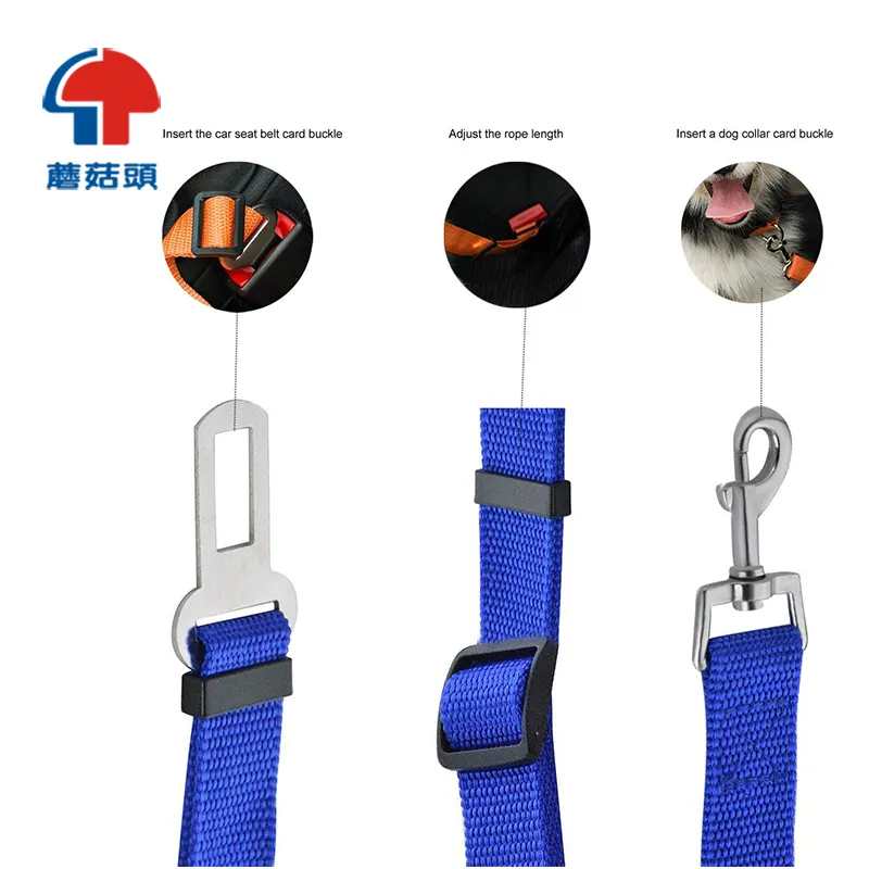 Correa de cuerda para perro recargable, collar de Mascota para seguridad