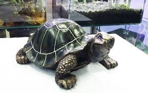 Aquarium/<span class=keywords><strong>Terrarium</strong></span> Dekor für Aquarium Harz Ornament Krokodil Schädel Knochen - Product Image 5