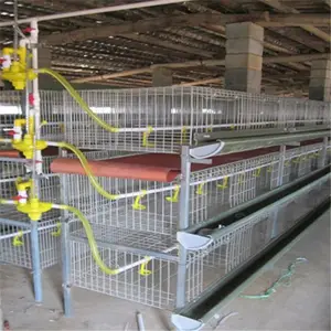 A Type Poultry Chicken Cage Broiler Chicken Cage And Laying Battery Hens Cage Poultry Farming Equipment