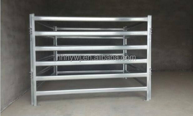 40X80 oval,6 carriles