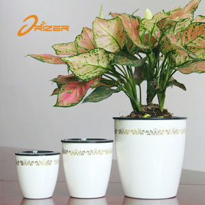 Superventas Europa mercado popular blanco plástico maceta para la decoración del hogar - Product Image 1