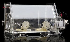 Chambre anaérobie pour équipement de laboratoire, boîte à gants sous vide en PMMA pour remplacement de gaz inerte - Product Image 5