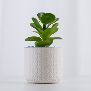 Grosir Elegan Seperti Kehidupan Dekoratif Set 2 Buatan <span class=keywords><strong>Succulent</strong></span> Tanaman Dalam Pot Keramik dengan Bambu Berdiri - Product Image 5