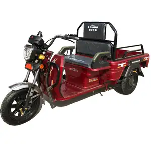 Triciclo eléctrico de alta calidad para adultos y mujeres, triciclo de alta potencia para bebé, precio bajo, venta directa de fábrica