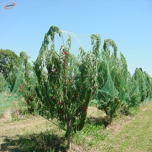 Nueva malla 100% nueva del pájaro del viñedo, <span class=keywords><strong>red</strong></span> de protección del árbol frutal, <span class=keywords><strong>red</strong></span> <span class=keywords><strong>contra</strong></span> del pájaro invisible - Product Image 5