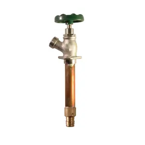 3/4 "Wirsbo Inlaat Vorst-Proof Hydrant