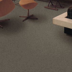 Alfombra de Pared a Pared de Nailon 100% con Pelo Cortado y Anudado, Rollo de Alfombra para Habitaciones de Hotel, Salas de Estar, Dormitorios, para Oración, Material PP - Product Image 4