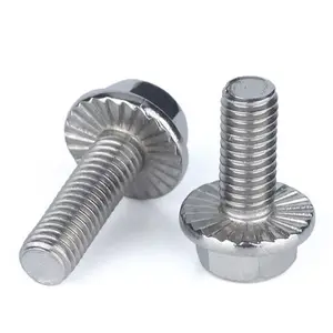 A2 A4 SS304 SS316 316L B8 B8M B8t stainless steel serrated hexagon hex head flange bolt DIN6921