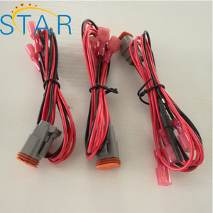 Harness Kabel Kawat Konektor Perempuan <span class=keywords><strong>2</strong></span> Pin Kustom dengan Konektor DT Harness Kabel <span class=keywords><strong>2</strong></span> Arah - Product Image 3