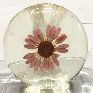 Tốt Nhất Beauty Mặt Tẩy Trắng Hoa Trong Suốt Thơm Amino Acid Facial Soap - Product Image 6