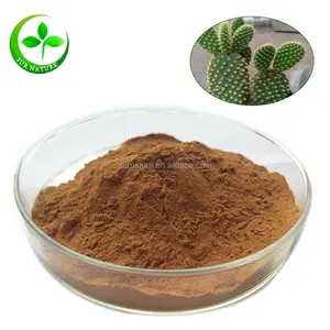 hot sale cactus plant extract powder