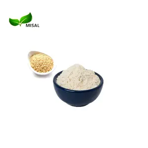 Suplemento orgánico de proteína de arroz integral en polvo 80%