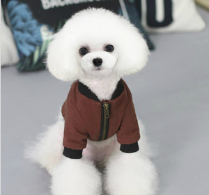 Ropa de algodón para mascotas, nuevo diseño personalizado, moda de invierno - Product Image 4