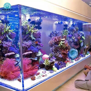 Fabriek Directe Verkoop 800 <span class=keywords><strong>Gallon</strong></span> Grote Landbouw Zeevis <span class=keywords><strong>Aquarium</strong></span> Te Koop - Product Image 5