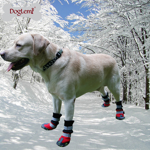 Bottes de neige <span class=keywords><strong>pour</strong></span> chiens imperméables et chaudes modernes et écologiques, bottes d'extérieur durables <span class=keywords><strong>pour</strong></span> animaux de compagnie - Product Image 6