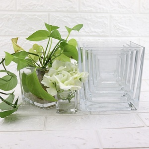 Créatif Décor À La Maison Fleur Vase à Fleurs En Verre Transparent Pot 1L 1.5L Grand Réservoir de Poissons D'<span class=keywords><strong>aquarium</strong></span> - Product Image 5