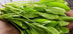 Spinaci disidratati secchi foglie di verdure cubo Spinacia oleracea per uso alimentare all'ingrosso dalla cina - Product Image 6