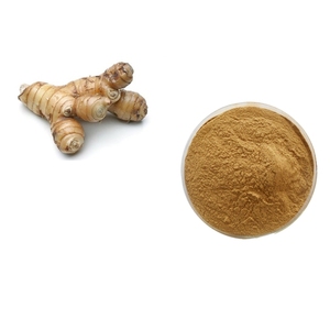 100% Natural Pure <strong>Alpinia</strong> Officinarum Lesser <strong>Galangal</strong> <strong>Extract</strong>