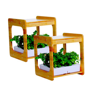 Shenzhen Smart home grow box hydrocultuur groeien kit led voor thuis groenten