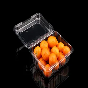 Blister Packaging Clear 175x135x75mm Plastic Clamshell Food Containers For Blueberry Cherry Strawberry Fruit BOX