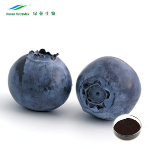 1 kg Heidelbeerblattextrakt, lateinischer Name: Vaccinium Myrtillus - Product Image 1