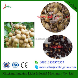 Lichi, rambután, Longan Semillas Máquina Separadora 2-3 t/h máquina <span class=keywords><strong>de</strong></span> Pelado y picado <span class=keywords><strong>de</strong></span> Lichi - Product Image 6