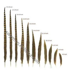 8-30 인치 인공 꿩 꼬리 깃털 레이디 얼룩말 Plumas 도매 가격 Ringneck 깃털