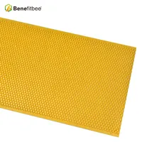 Plastic Foundation Sheet for Bees, Beekeeping Tools