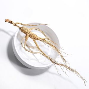 Vahşi <span class=keywords><strong>Ginseng</strong></span> - Product Image 2